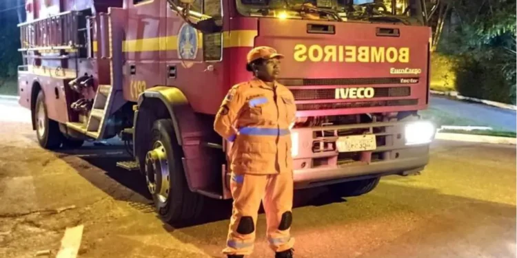 Corpo de Bombeiros captura cachorro agressivo, em Valadares.