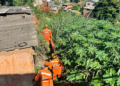 Bombeiros resgatam vítima após queda de barranco no Carapina, em Valadares
