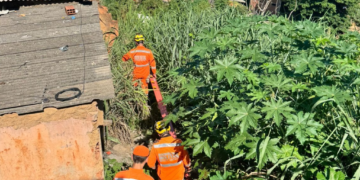 Bombeiros resgatam vítima após queda de barranco no Carapina, em Valadares
