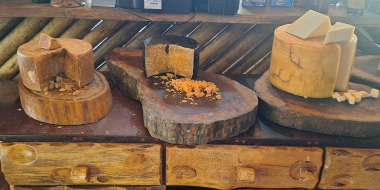 Sistema Faemg Senar oferece capacitações gratuitas nesta semana no Leste de MG