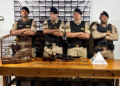 Dois são presos com rifle, munições e pássaro silvestre em José Raydan MG