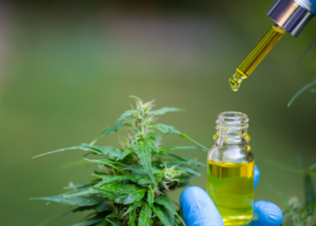 Conad aprova regulamentação da cannabis medicinal e cânhamo industrial