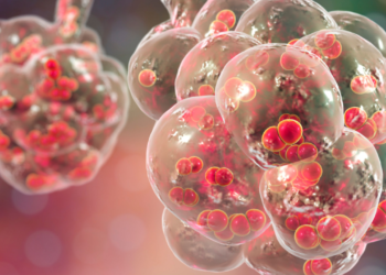 Doenças respiratórias levam Minas à emergência