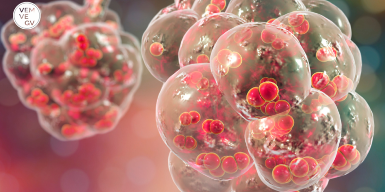 Doenças respiratórias levam Minas à emergência