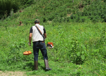 Sistema Faemg Senar oferece capacitações gratuitas nesta semana no Leste de MG