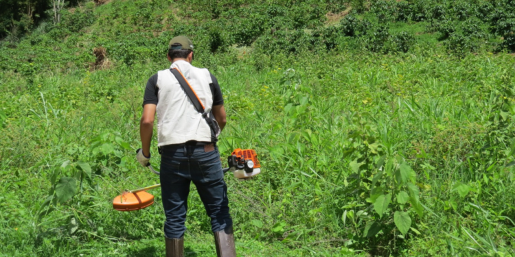 Sistema Faemg Senar oferece capacitações gratuitas nesta semana no Leste de MG