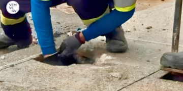Águas de Valadares descobre “Gato de água” no Belvedere