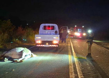 Acidente envolvendo três motocicletas e uma égua deixa jovem morto na BR-259, em Resplendor MG