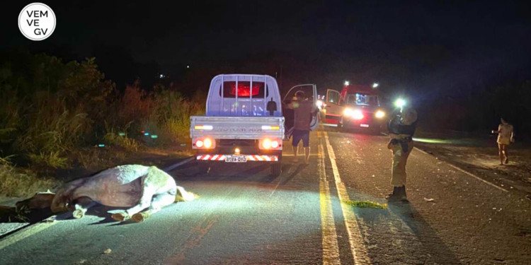 Acidente envolvendo três motocicletas e uma égua deixa jovem morto na BR-259, em Resplendor MG