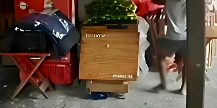 PM de folga flagra homem furtando saco de laranjas em Valadares