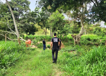 Suspeito de sumiço de mulher em Mantena é preso em Valadares