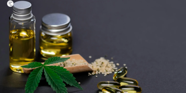 Prazo para liberar cultivo de Cannabis no Brasil termina nesta segunda ( 19/05 )