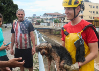 Assustado com fogos de artifício, cachorro é resgatado de córrego em Valadares
