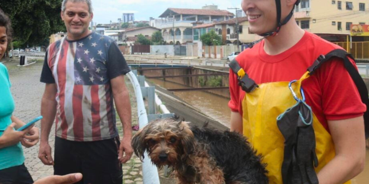 Assustado com fogos de artifício, cachorro é resgatado de córrego em Valadares