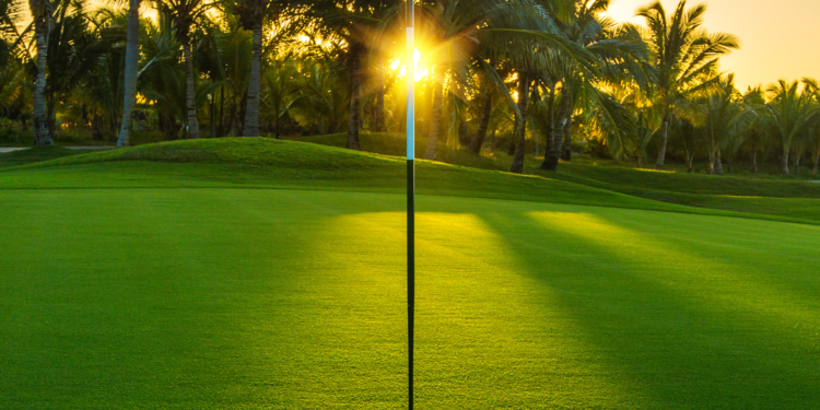 Oficina gratuita de fotografia abre 20 vagas para moradores de Valadares