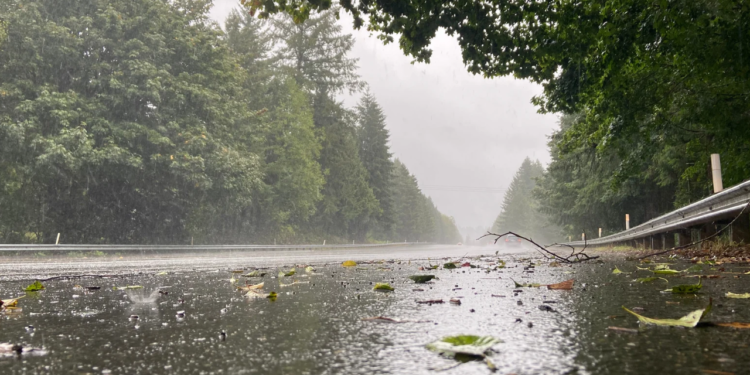 Chuva em Minas: 98% das cidades em alerta