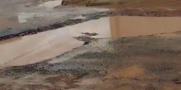 Moradores denunciam abandono de avenida no Vitória em GV
