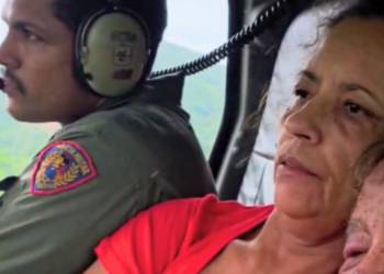 Idoso de 95 anos é resgatado após ataque de abelhas