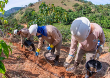 Samarco dá continuidade às ações ambientais na bacia do rio Doce e amplia áreas em restauro