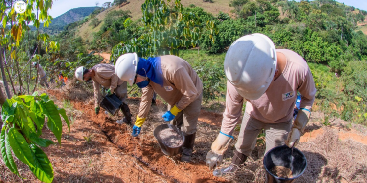 Samarco dá continuidade às ações ambientais na bacia do rio Doce e amplia áreas em restauro