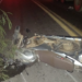 Motociclista morre em colisão frontal na BR-259, em Resplendor