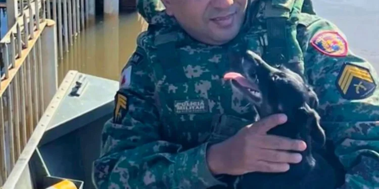 Mais um resgate de animal por parte de PMs de Governador Valadares, no RS.