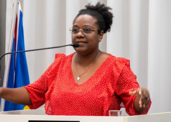 Audiência pública discute ecologia integral e preservação ambiental em Valadares