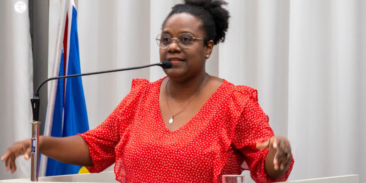 Audiência pública discute ecologia integral e preservação ambiental em Valadares