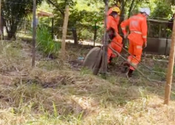 Idoso é encontrado morto dentro de cisterna em Engenheiro Caldas
