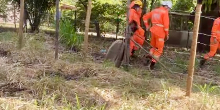 Idoso é encontrado morto dentro de cisterna em Engenheiro Caldas