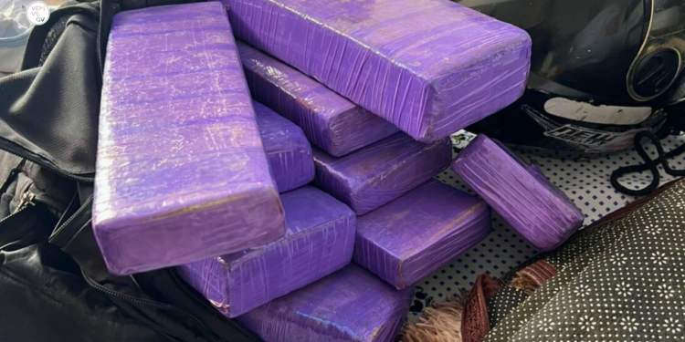 Duas mulheres são presas com 13 barras de maconha