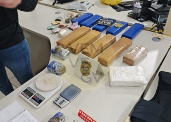 Operação da Polícia Civil e Militar prende suspeitos e apreende grande quantidade de drogas em Valadares