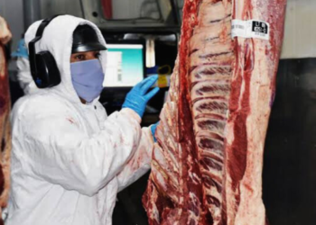 Frigoríficos brasileiros suspendem produção diante da ameaça de tarifa de Trump