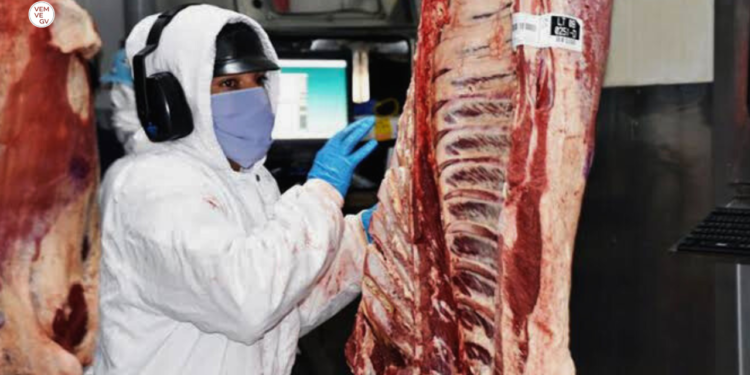 Frigoríficos brasileiros suspendem produção diante da ameaça de tarifa de Trump