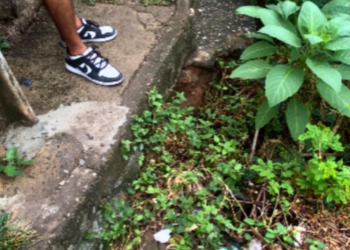 Moradores do Carapina em Valadares cobram solução para beco intransitável