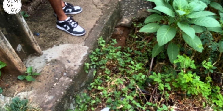 Moradores do Carapina em Valadares cobram solução para beco intransitável