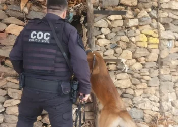 FICCO-MG desarticula tráfico de drogas e organização criminosa em Valadares