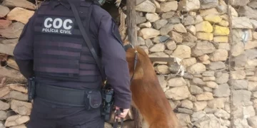 FICCO-MG desarticula tráfico de drogas e organização criminosa em Valadares
