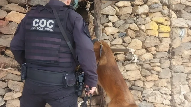 FICCO-MG desarticula tráfico de drogas e organização criminosa em Valadares