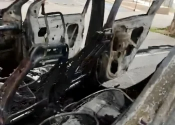 Carro colide em placa e árvore, e pega fogo em Valadares