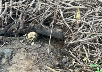 Polícia Civil investiga ossada encontrada em Valadares