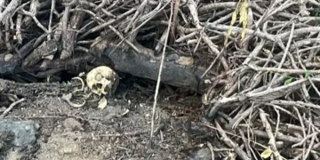 Polícia Civil investiga ossada encontrada em Valadares