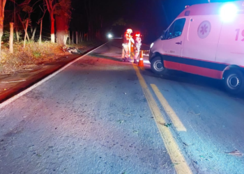 Motociclista morre após acidente com galhos na BR-259, em Itueta MG