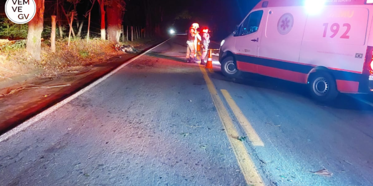 Motociclista morre após acidente com galhos na BR-259, em Itueta MG