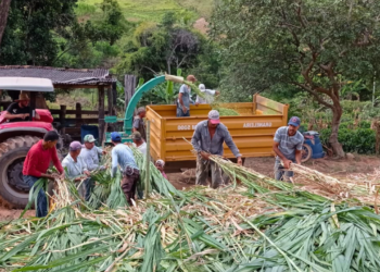 Sistema Faemg Senar e Sindicato Rural de Ipatinga promovem cursos gratuitos no Vale do Aço