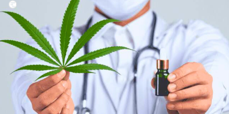 PL barra votação de projeto sobre maconha medicinal em Minas