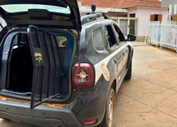 Polícia Civil prende em Peçanha suspeito de abusar de menor