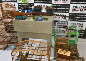 Homem é preso com arma, droga e armadilhas em Coroaci