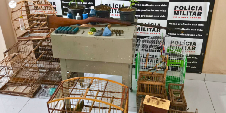 Homem é preso com arma, droga e armadilhas em Coroaci