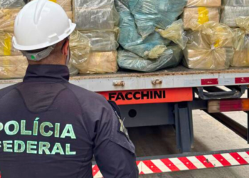 Polícia Federal incinera cerca de 7,8 toneladas de drogas em Minas Gerais